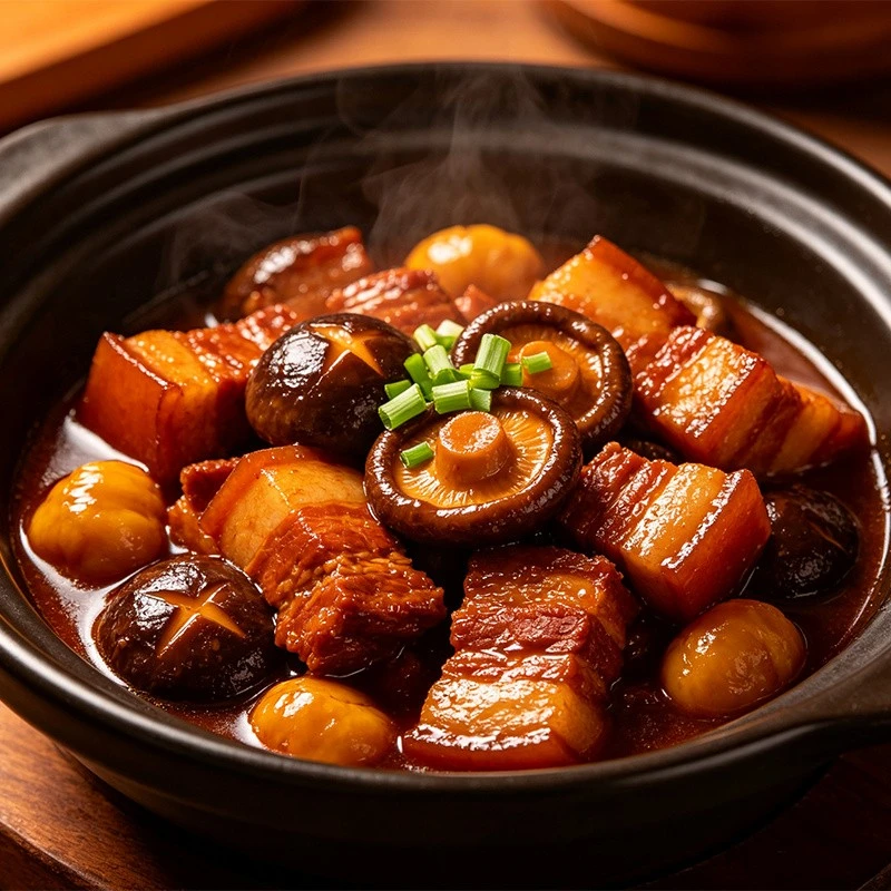 Hong Shao Rou Slow Cooker factory
